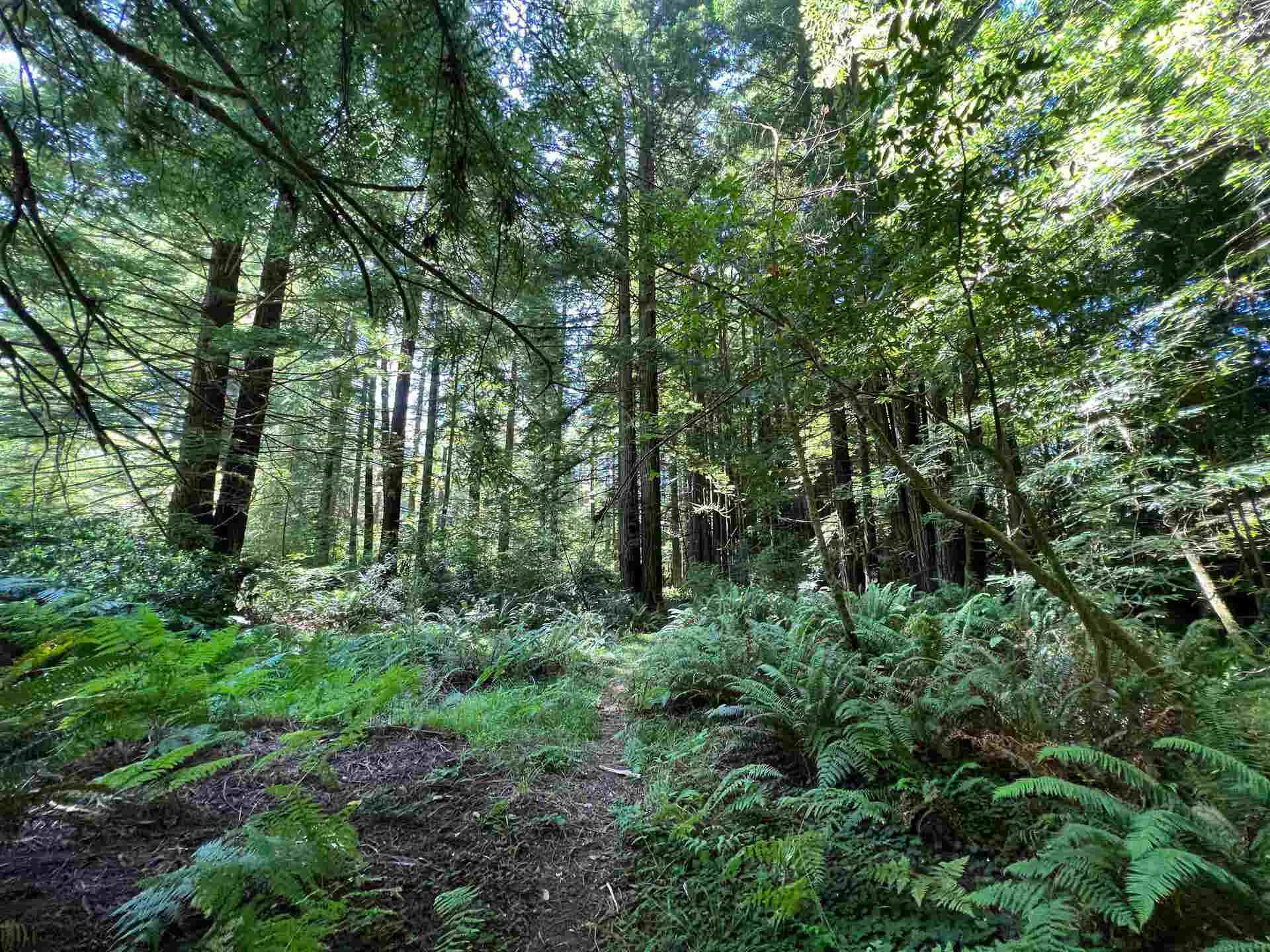 Boomerang Drive, Crescent City, CA 95531