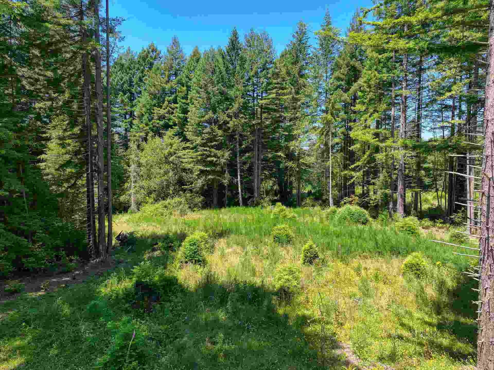 Boomerang Drive, Crescent City, CA 95531