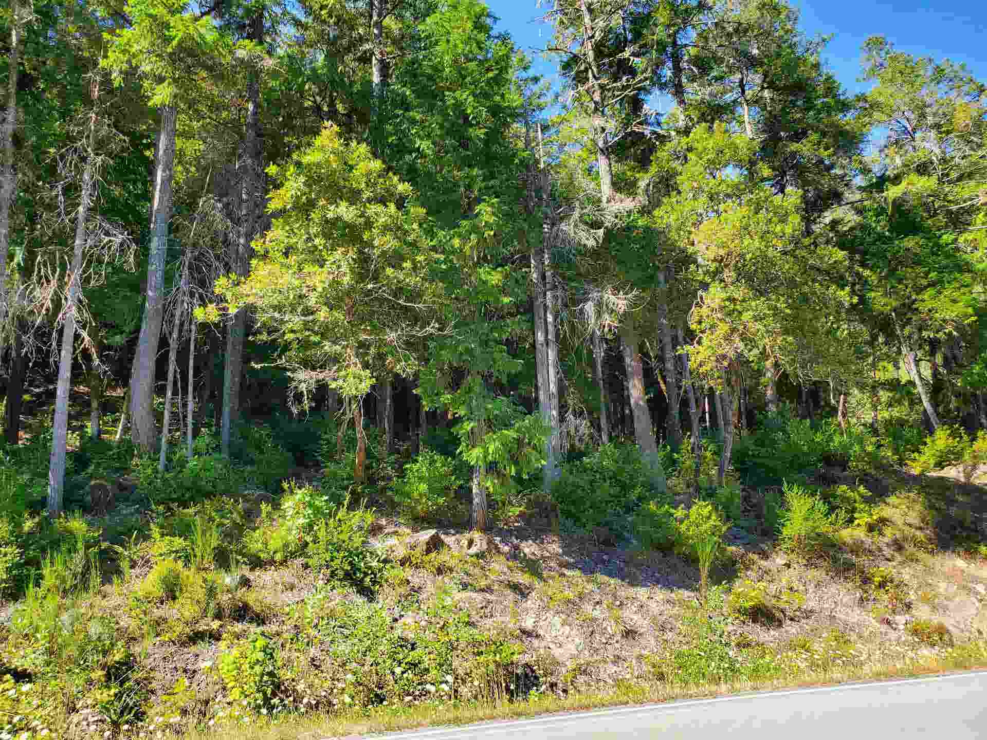 0 South Fork Road, Crescent City, CA 95531