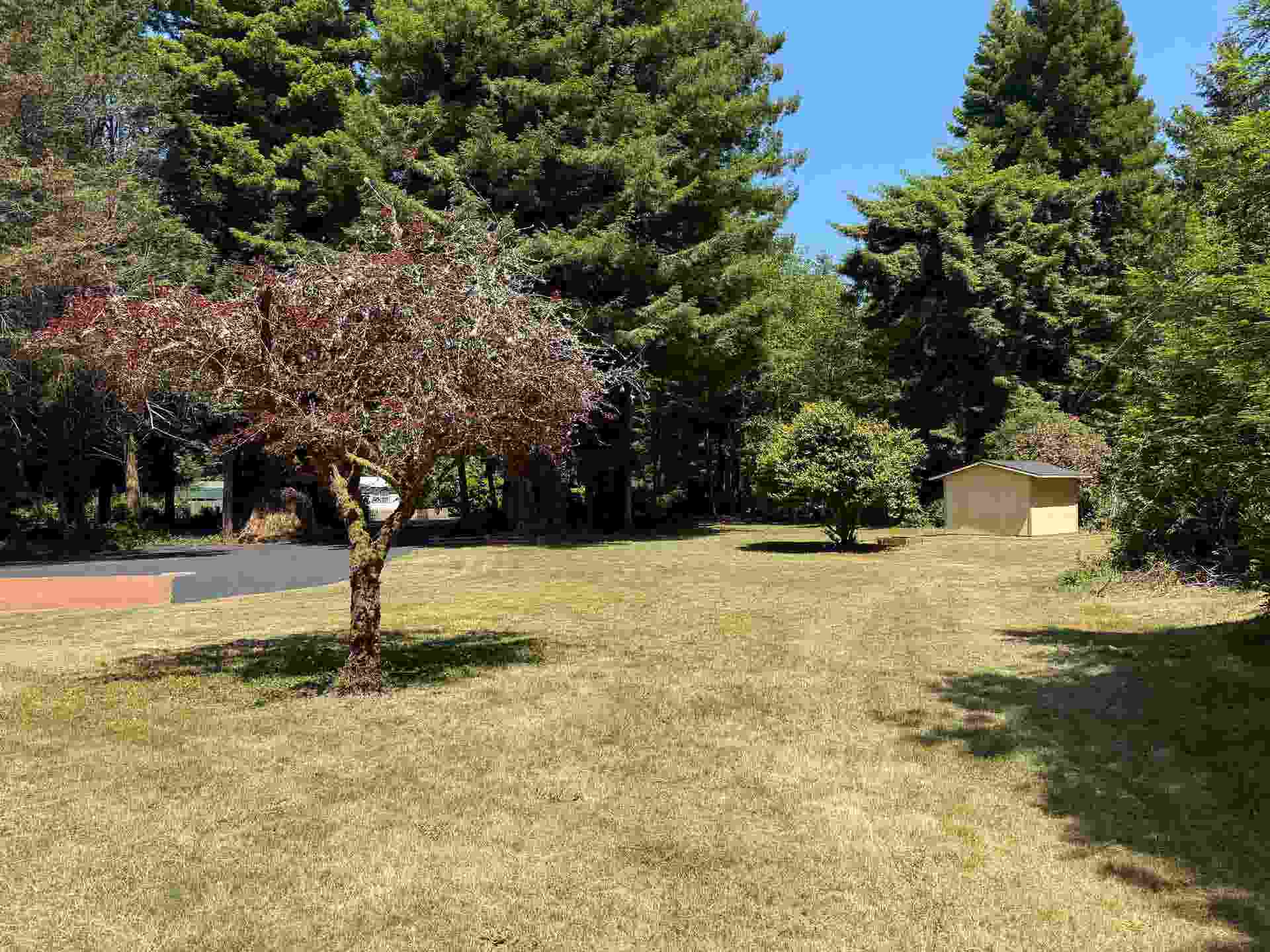 185 Quail, Fort Dick, CA 95531