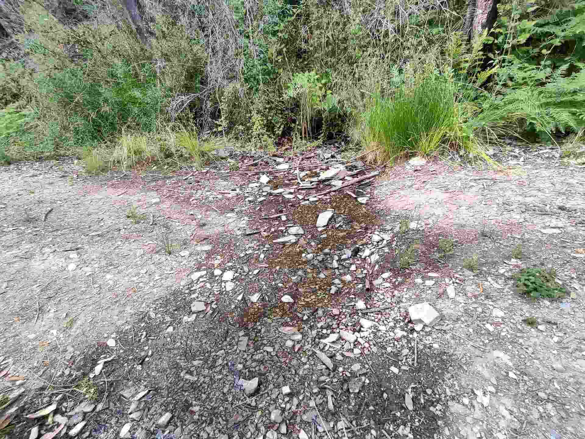 122180018 17N05, Gasquet, CA 95543