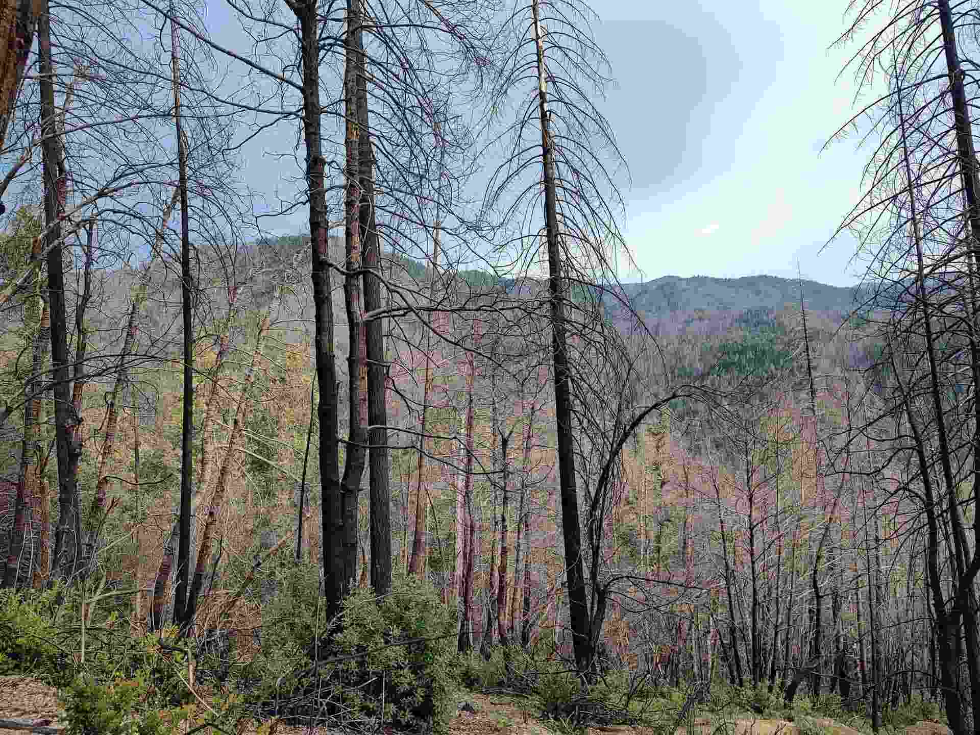 122180018 17N05, Gasquet, CA 95543