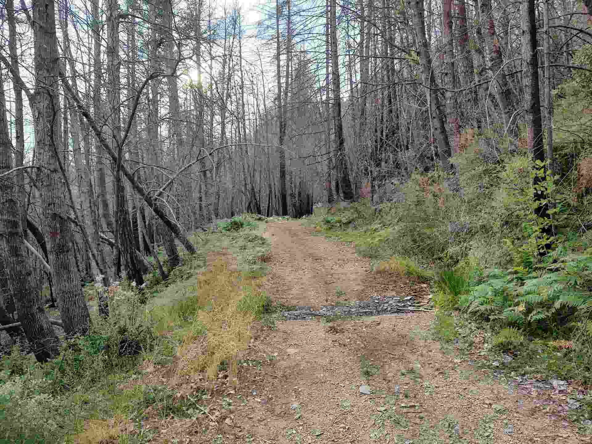 122180018 17N05, Gasquet, CA 95543