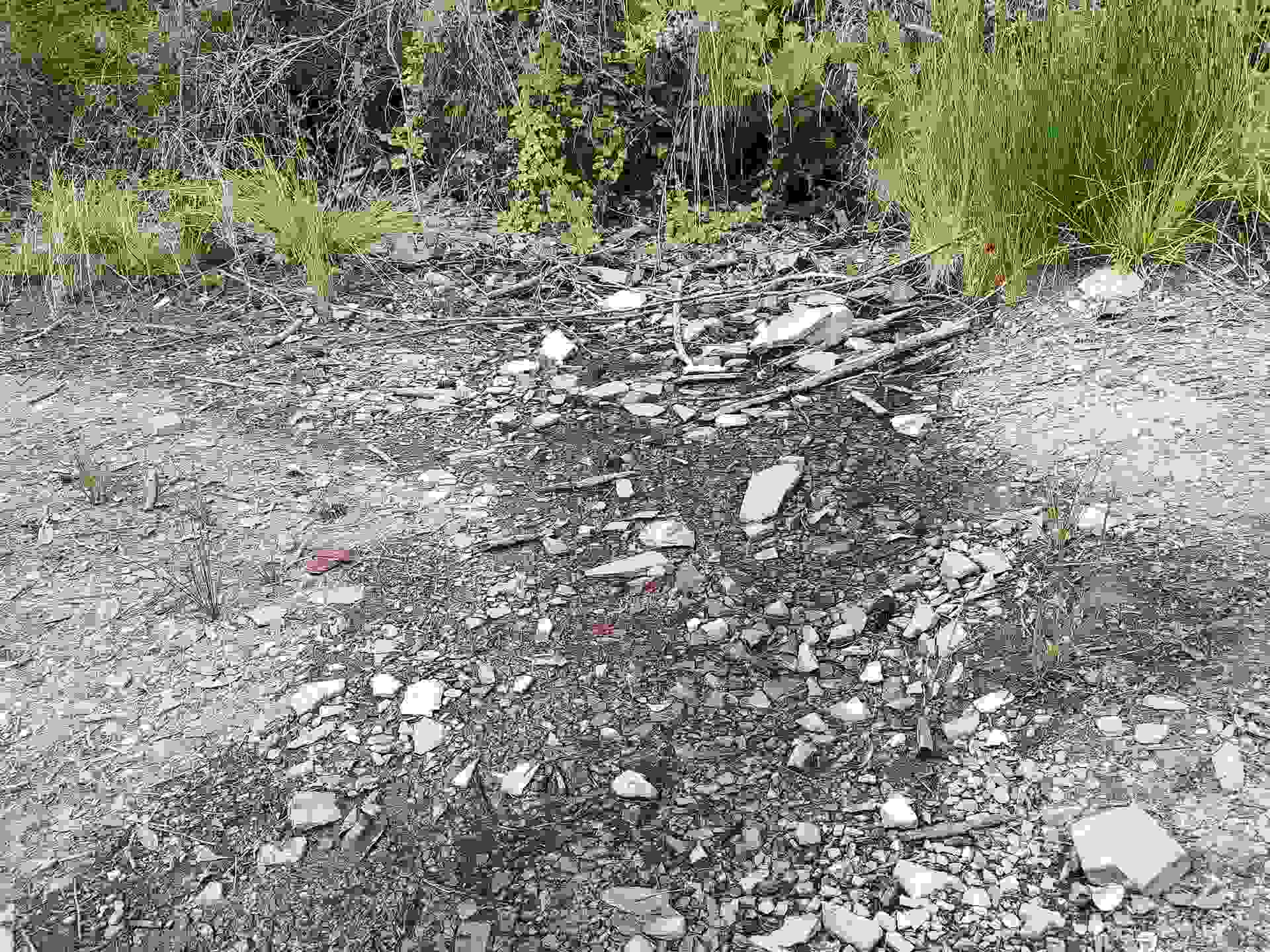 122180018 17N05, Gasquet, CA 95543