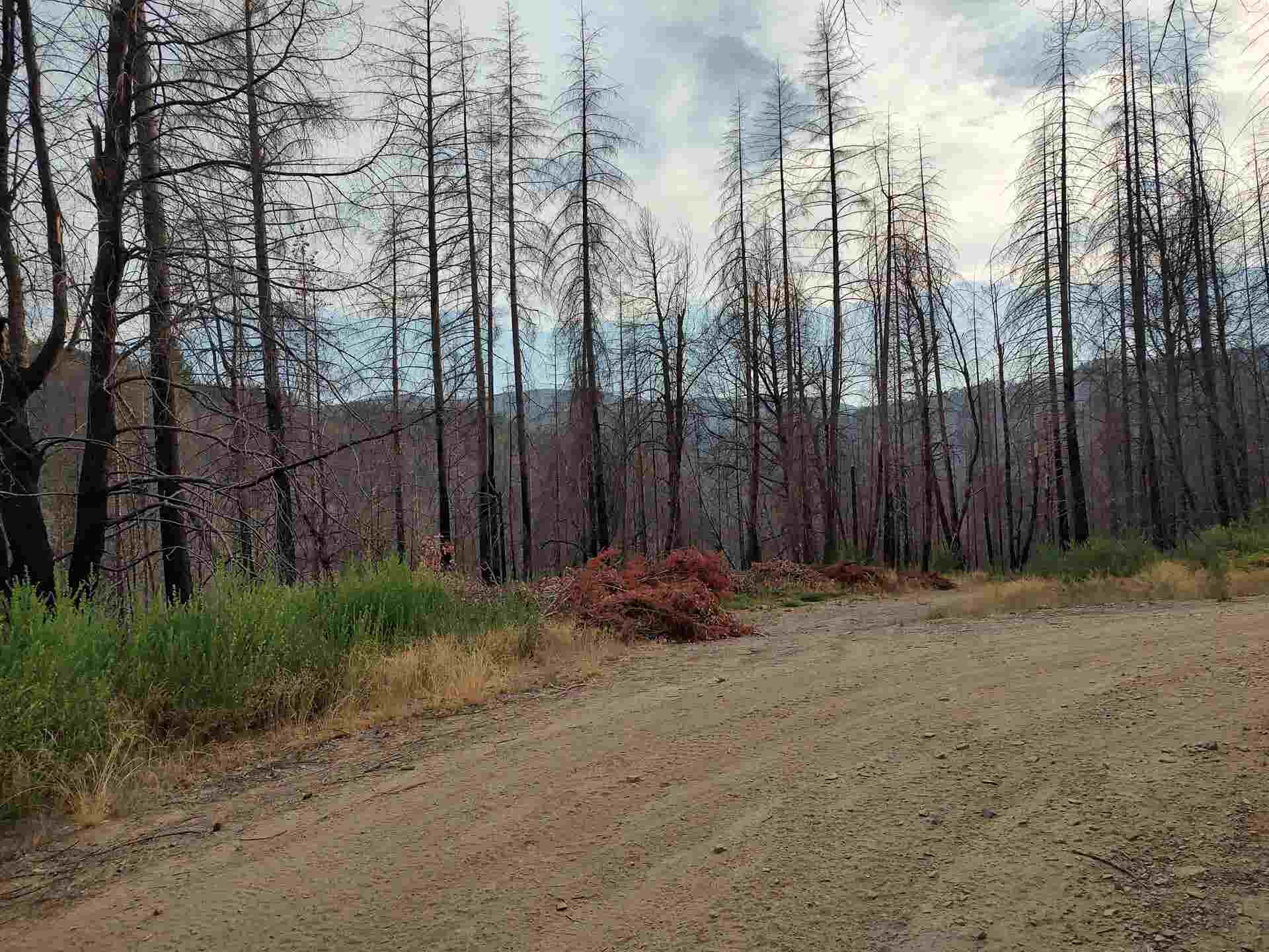 122180018 17N05, Gasquet, CA 95543