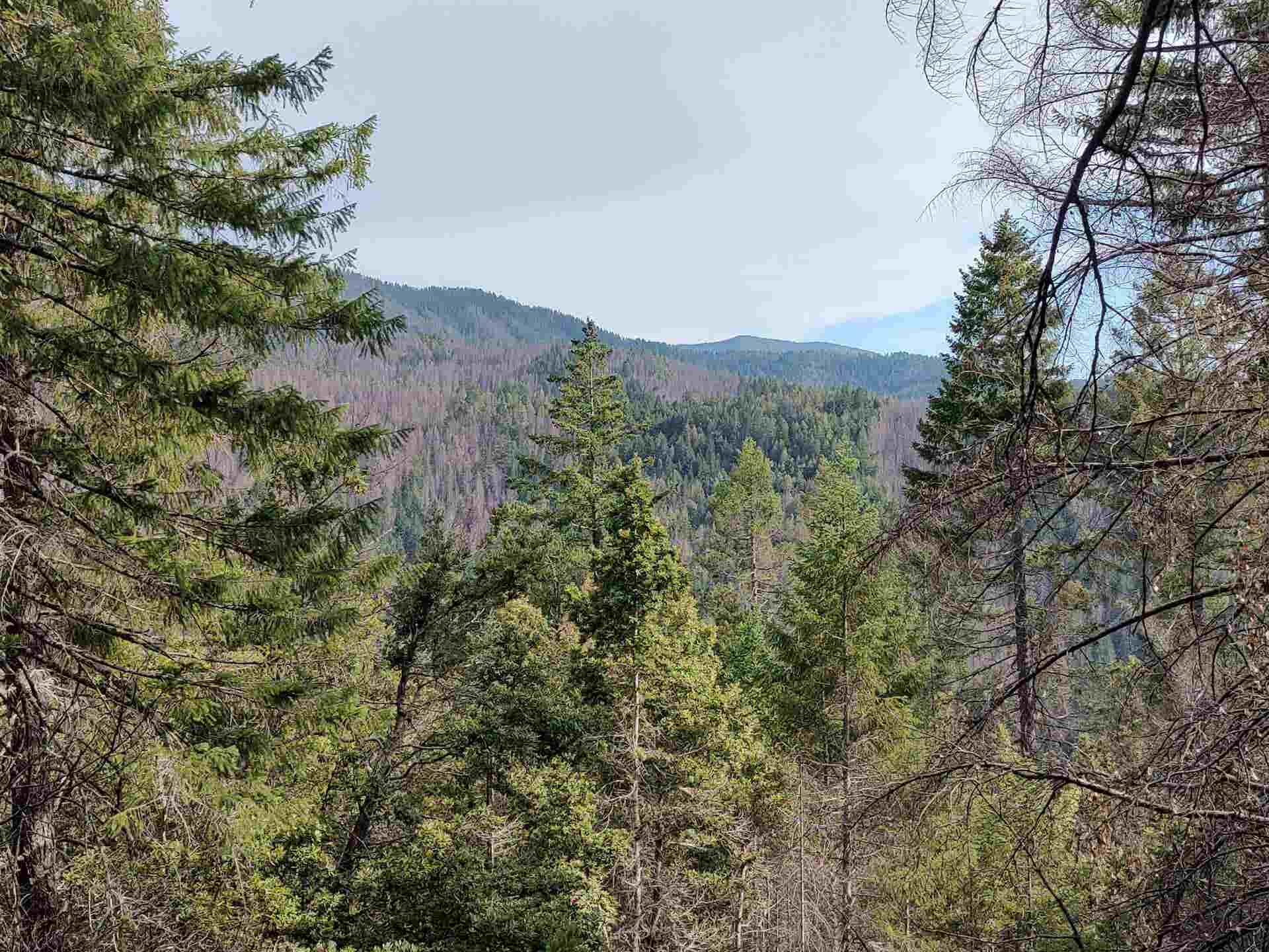 122180018 17N05, Gasquet, CA 95543