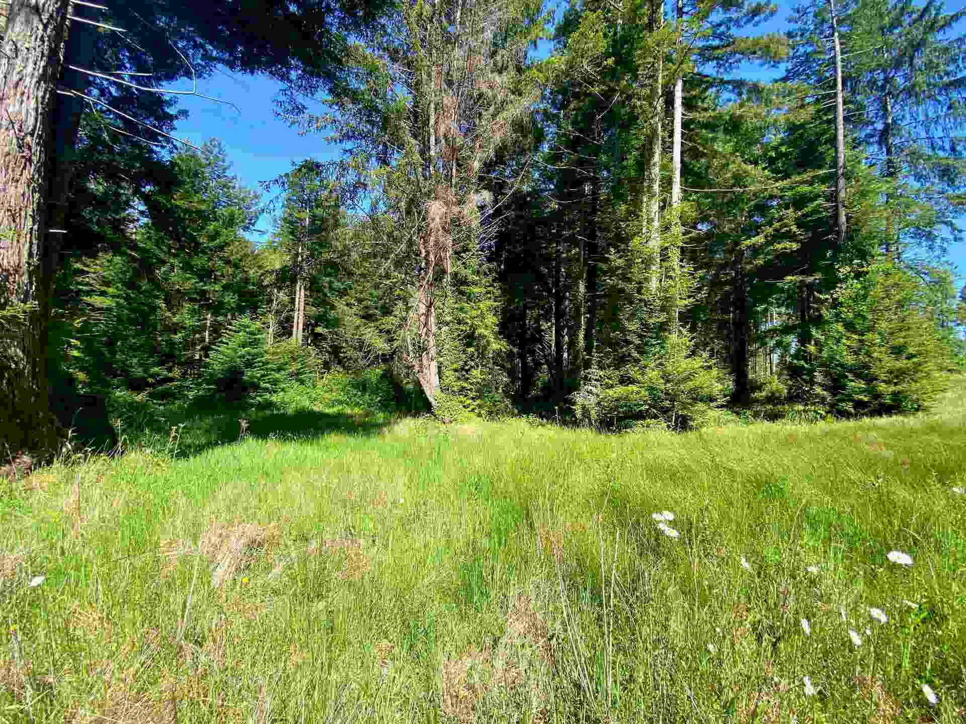000 Noels Way, Crescent City, CA 95531