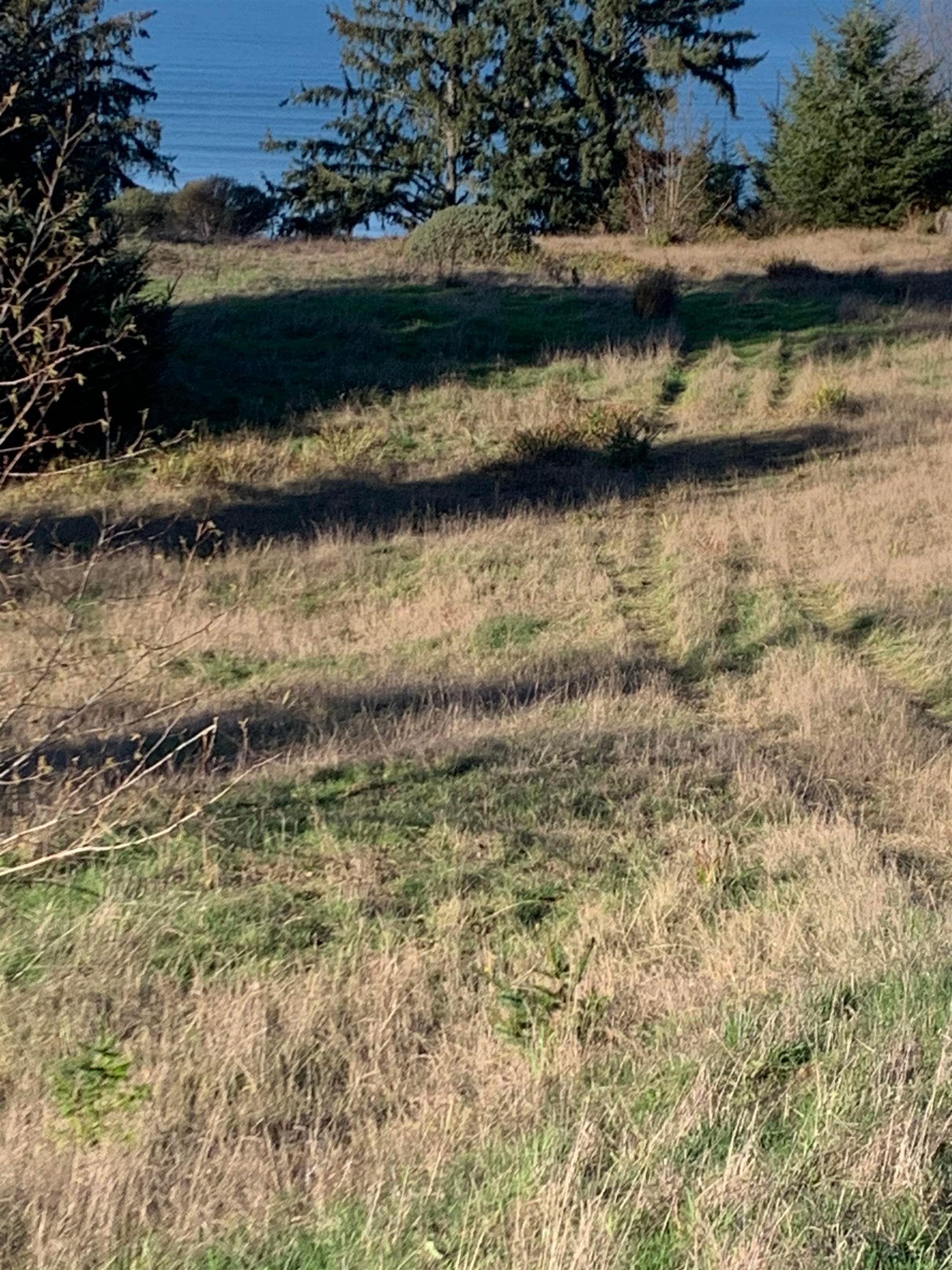 Lot 3F Spyglass, Ocean View Drive, Smith River, CA 95567-9315