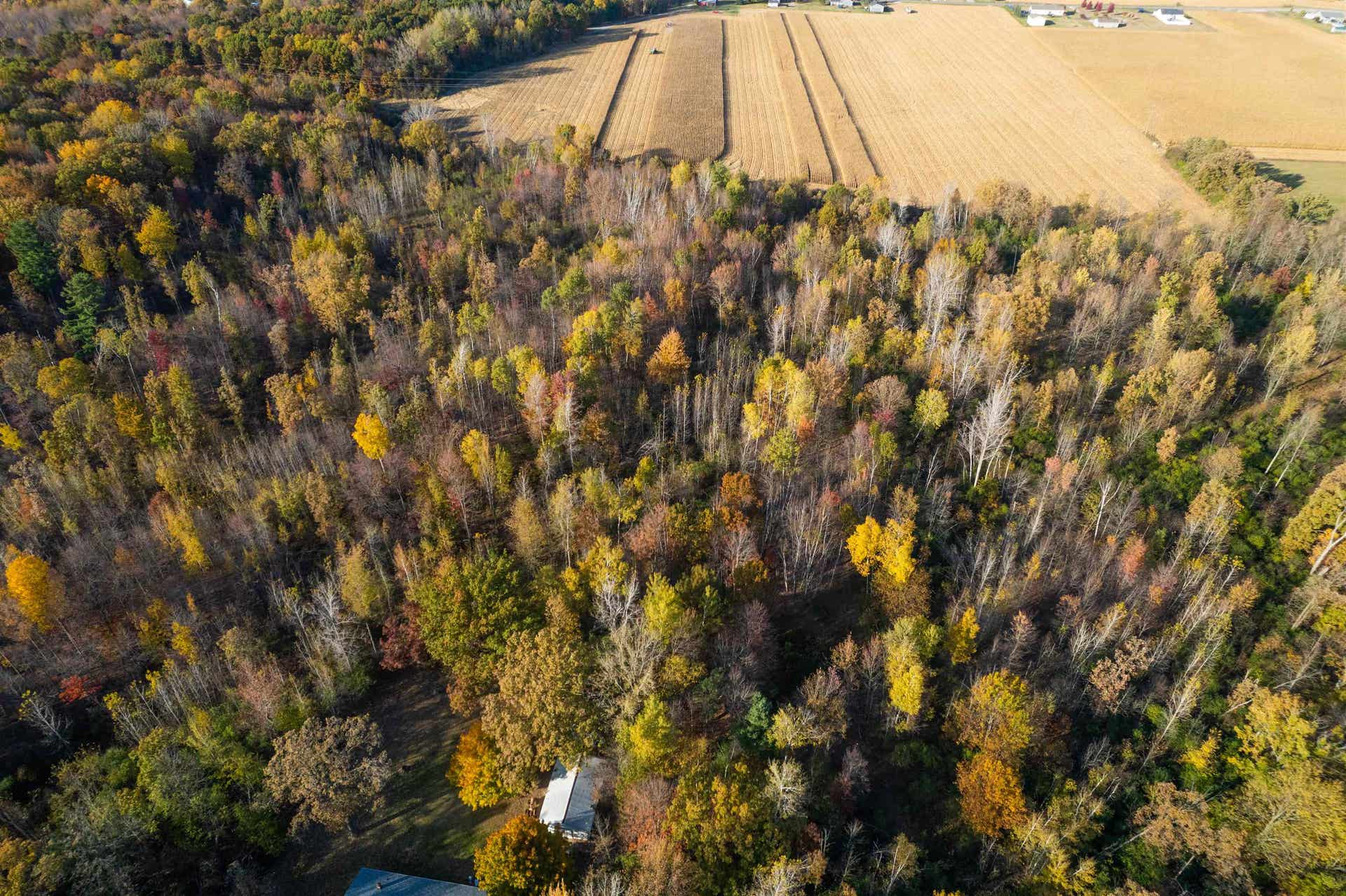 E Gordonville Road, Midland, MI 48640 MLS 50158821